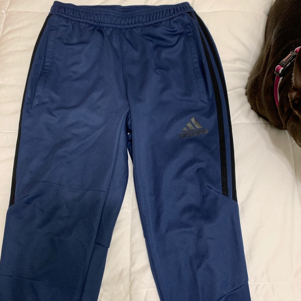 Adidas Pants